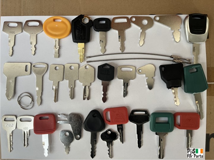 Plant Keys x 30 - Pjs for parts